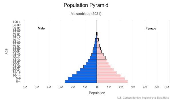 population pyramid