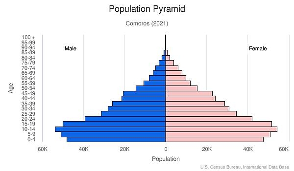 population pyramid