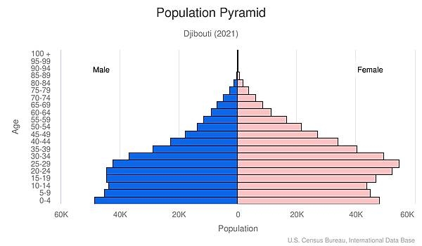 population pyramid