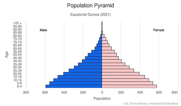 population pyramid