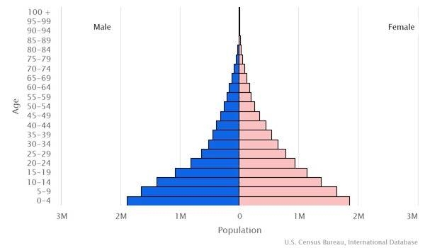 2022 population pyramid