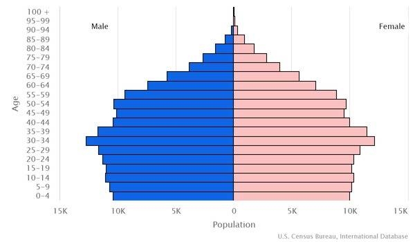 2022 population pyramid