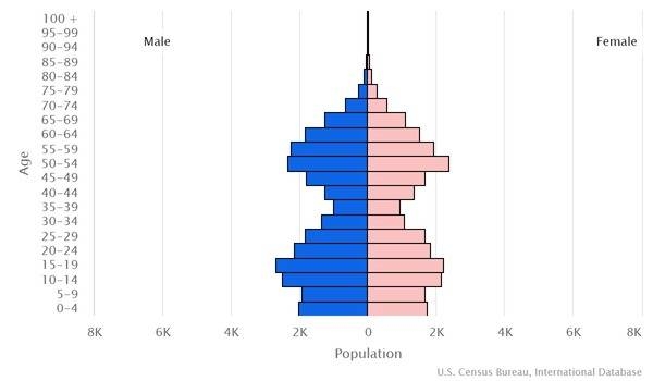 2022 population pyramid