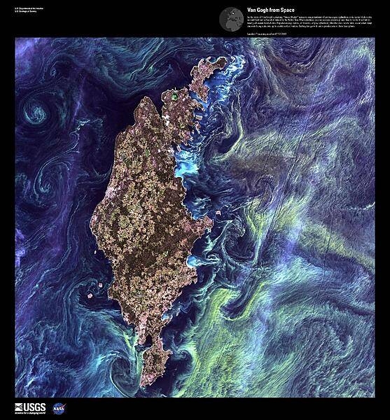 In the style of Van Gogh's painting "Starry Night," massive congregations of greenish phytoplankton swirl in the dark water around Gotland, a large Swedish island in the Baltic Sea, shown in this false-color satellite image. Phytoplankton are microscopic marine plants that form the first link in nearly all ocean food chains. Population explosions, or blooms, of phytoplankton, like the one shown here, occur when deep currents bring nutrients up to sunlit surface waters, fueling the growth and reproduction of these tiny plants. Image courtesy of USGS.