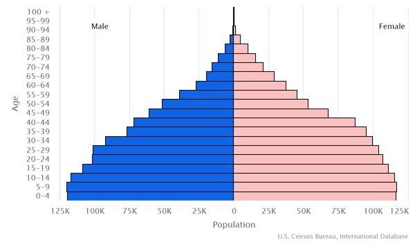 2022 population pyramid