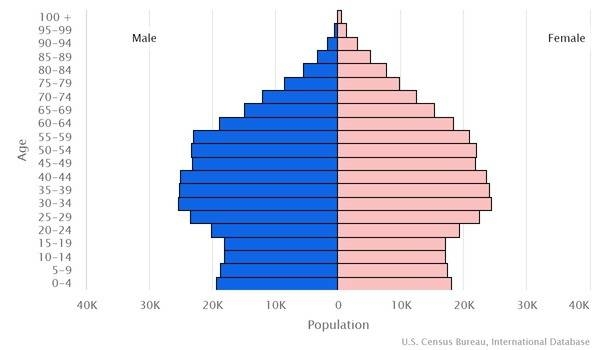 2022 population pyramid