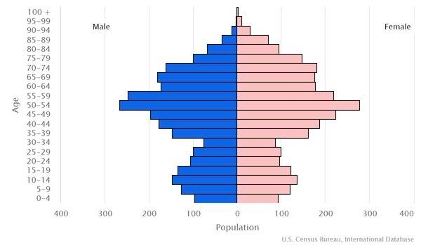 2022 population pyramid