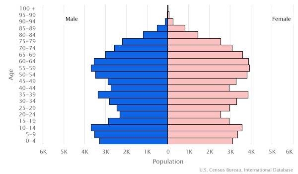 2022 population pyramid