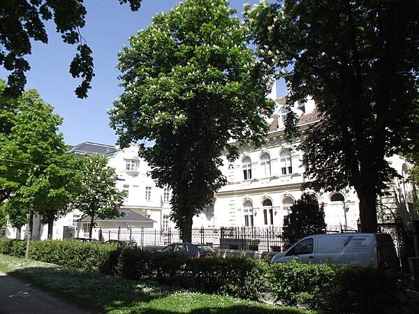 Chestnut trees in bloom in the residential section of Heitzing, which makes up part of western Vienna.