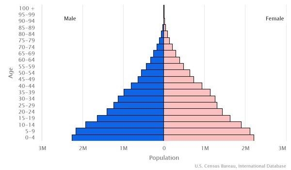 2022 population pyramid