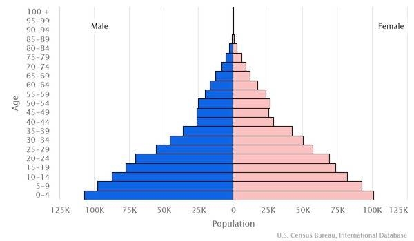 2022 population pyramid