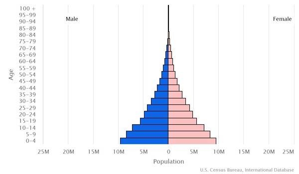 2022 population pyramid