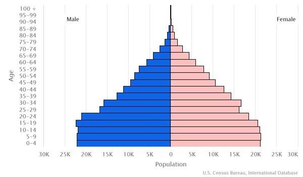 2022 population pyramid