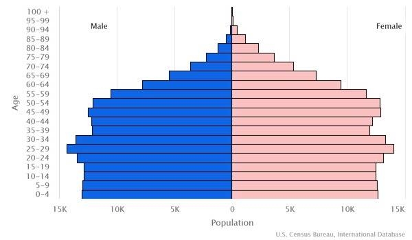 2022 population pyramid