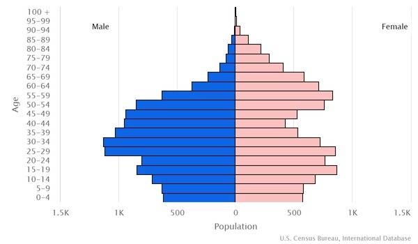 2022 population pyramid