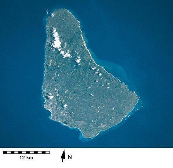 Barbados as seen from space. Fringing reefs around the island have declined over many decades although there are still submerged reefs off the west and southern coasts. Image courtesy of NASA.