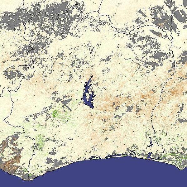 An image of West Africa's Ivory Coast region in 2007 when wet season rains came late. Instead of beginning in February, the rainy season did not start until March, and steady rains did not begin until late March. Though the rain had started to alleviate the drought, vegetation was still depressed in parts of Cote d'Ivoire (Ivory Coast) between 22 March and 6 April 2007, when NASA's Terra satellite captured the data used to make this photo. The image compared vegetation at that time to average conditions recorded since 2000. Areas where plants were growing more slowly or more sparsely than average showed up as brown, while areas where vegetation was denser than average were green. The brown tint dominating the image indicates that plants through most of the country were more sparse than normal. The three major rivers that cross the country from north to south are all but invisible leaving only central Lake Kossou conspicuous as a major water body. Among the crops affected by the lack of rain was West Africa's cocoa crop. About 70 percent of the world's cocoa comes from West Africa and Cote d'Ivoire is a top grower. Image courtesy of NASA.