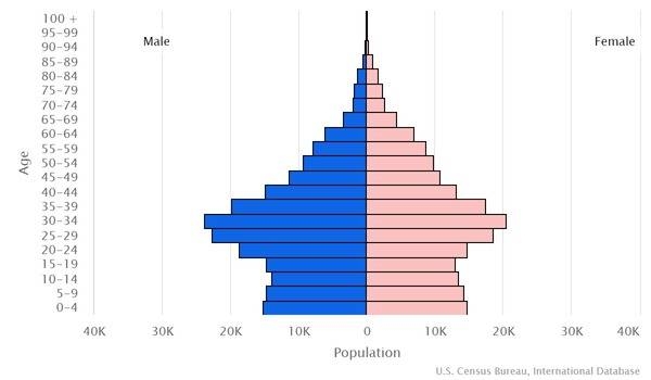 2022 population pyramid