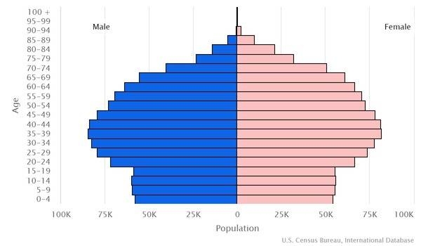 2022 population pyramid