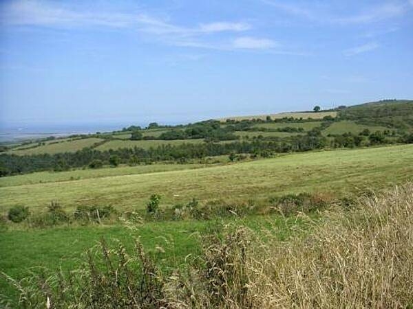 Some of the famed &quot;forty shades of green&quot; displayed in a pastoral Irish setting.