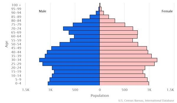 2022 population pyramid