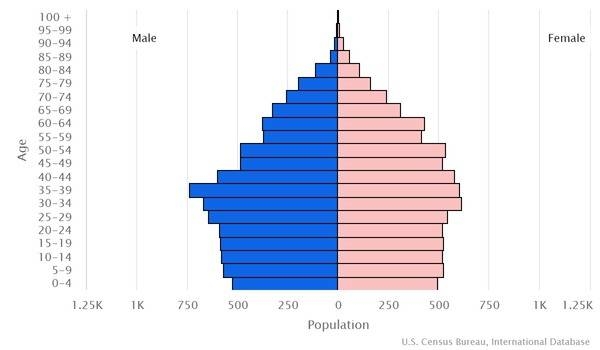 2022 population pyramid