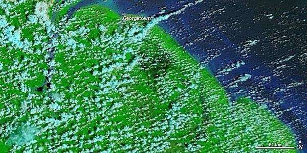 A satellite image showing an area along the Guyana coast: water ranges in color from electric blue to navy, vegetation appears bright green, and clouds appear pale blue-green and cast shadows. Darker areas within the vegetation are marshy areas that have expanded due to flooding. Image courtesy of NASA.