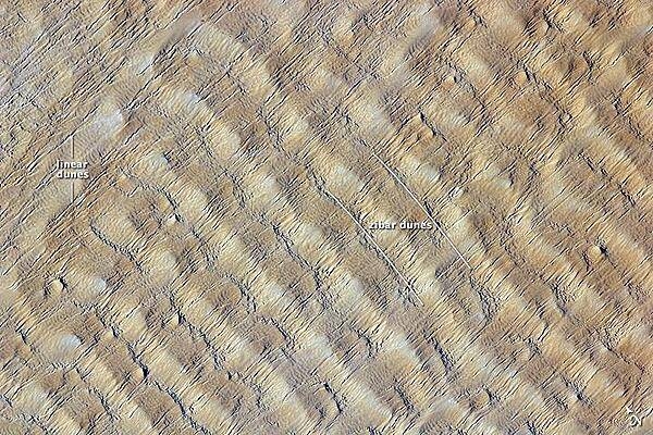 This detailed astronaut photograph highlights sand dunes in the Fachi-Bilma erg (sand sea) in the central-eastern part of the Tenere Desert. The Tenere occupies much of southeastern Niger and is considered to be part of the larger Sahara Desert, which stretches across northern Africa. Much of the Sahara is comprised of ergs; with an area of approximately 150,000 sq km (57,915 sq mi), the Fachi-Bilma is one of the larger sand seas.

Two major types of dunes are visible in the image. Large, roughly north-south oriented transverse dunes - known as zibar dunes - fill the image frame. This type of dune tends to form at roughly right angles to the dominant, northeasterly winds. The dune crests are marked in this image by darker, steeper sand accumulations that cast shadows. The lighter-toned zones between are lower, interdune &quot;flats.&quot; The large dunes appear to be highly symmetrical with regard to their crests, which are composed of coarser sediments. A second set of thin linear dunes oriented at roughly right angles to the zibar dunes are formed from finer grains in the same wind field as the larger zibars. Image courtesy of NASA.