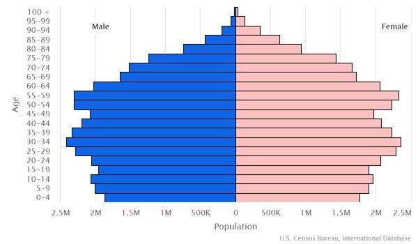 2022 population pyramid