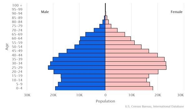 2022 population pyramid