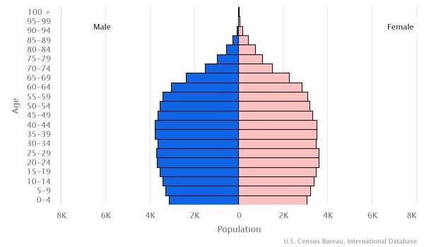 2022 population pyramid