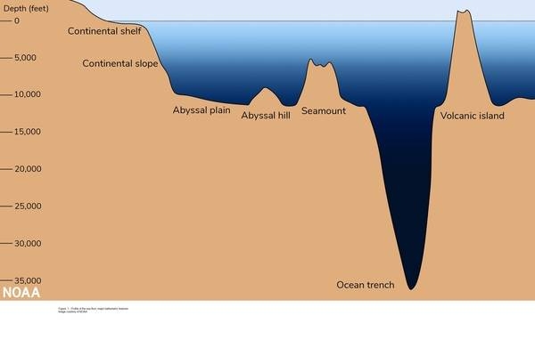 Figure 1. Profile of the sea floor