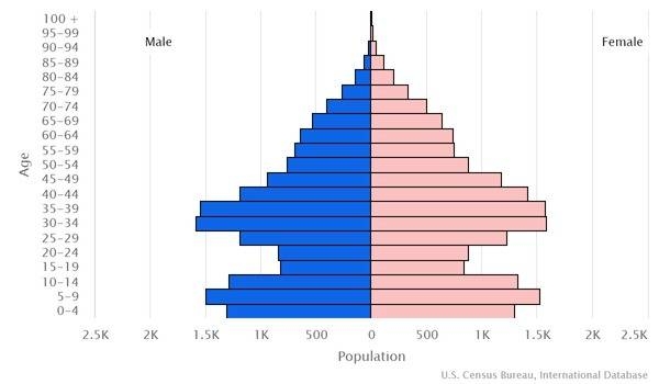 2022 population pyramid