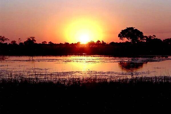 Fiery sunset on the Okavango Delta (also called the Okavango Swamp), the world&apos;s largest inland delta. The Okavango River empties as a swamp in a basin of the Kalahari Desert where, through the processes of evaporation and transpiration (water given off by plants), it disappears. Most of the islands in the delta began as termite mounds. The delta is home for a wide variety of birds and animals.