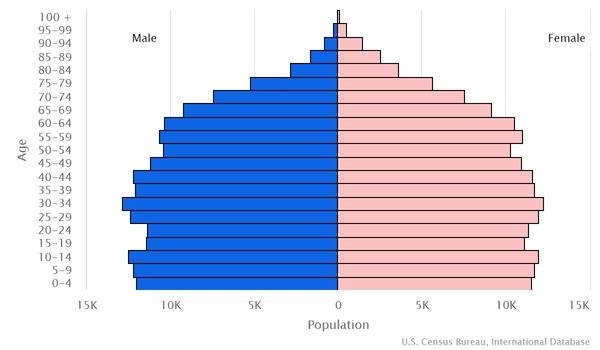 2022 population pyramid