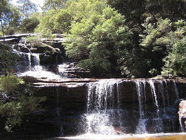 Wentworth Falls, in the Blue Mountains region of New South Wales, is situated approximately 100 km west of Sydney and about 8 km east of Katoomba. This view is of the upper part of the falls.