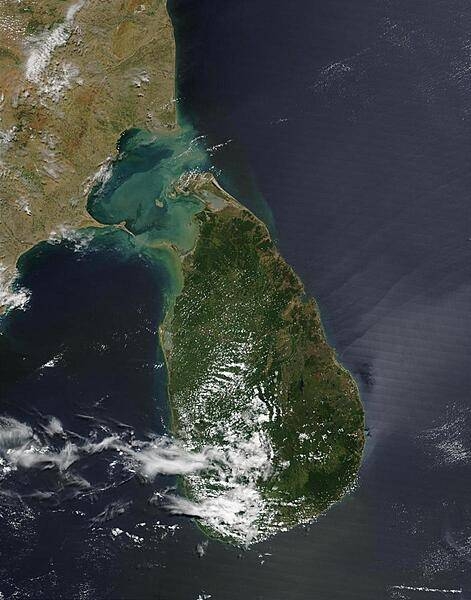 The Palk Strait separates India (upper left) from Sri Lanka (center). This image shows the Strait filled with bright sediment, while off the northeast tip of Sri Lanka, a darkening in the waters could be a phytoplankton bloom. On Sri Lanka, many of the native forests have been cleared, but small pockets remain in preserves, such as that seen in the dark green southeastern portion of the island. The imaging satellite also detected a number of fires that are indicated in red. Image courtesy of NASA.