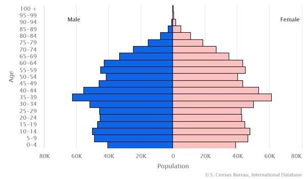 2022 population pyramid