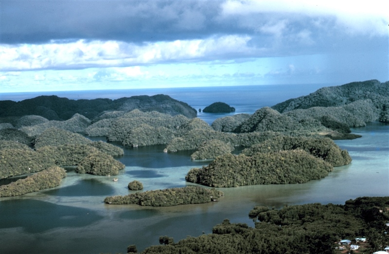 The Rock Islands are a large group of 445 uninhabited limestone islands in the Southern Lagoon of Palau between Koror and Peleliu. They are probably Palau's most outstanding scenic feature. Their aggregate area is about 42 sq km (16 sq mi) with a maximum height of 207 m (679 ft). The islands were declared a UNESCO World Heritage Site in 2012. Image courtesy of NOAA / James P. McVey.