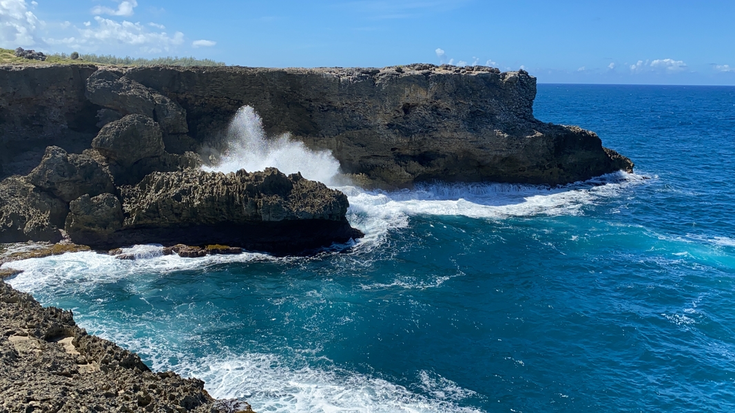Barbados geology is based on coral deposits and uplifts. Along the north shore, coral cliffs rise 15 m (50 ft) above the water below.