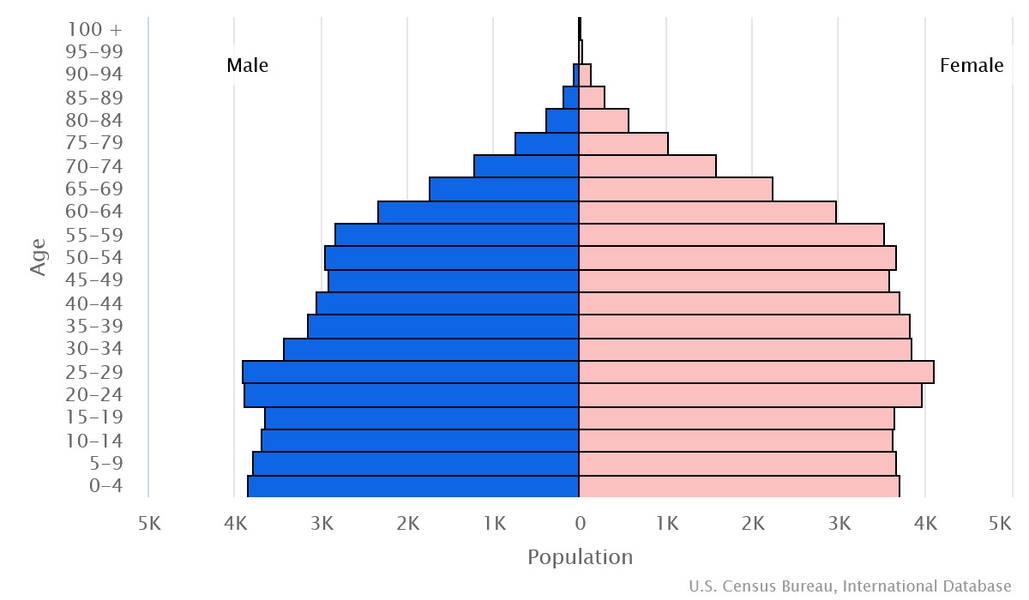 2023 population pyramid