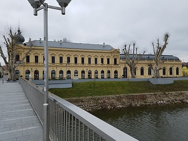 Radnicki Dom (Workers' Hall), formerly the Grand Hotel, is one of the most famous architectural landmarks in Vukovar, Croatia. From its opening in 1897 until its wartime destruction in 1991, it was the town's social and cultural center. The reconstruction of the exterior, roof, and basement took two years (2011-2013) and cost €1.64 million.