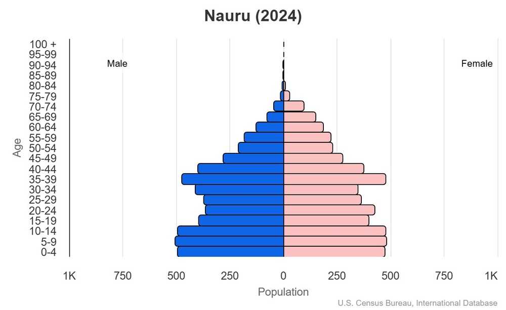 2024 population pyramid