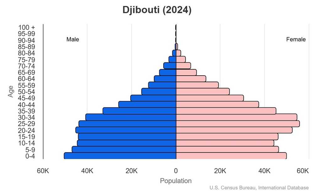 2024 population pyramid
