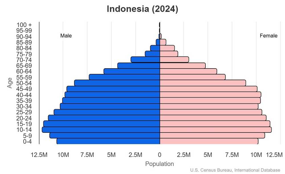 2024 population pyramid