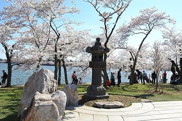 For over 50 years, the traditional lighting of this stone lantern has signaled the beginning of the annual Cherry Blossom festival. The granite lantern was presented to Washington, D.C., on March 30, 1954, as a symbol of the enduring cultural partnership between Japan and the US. It was one of two lanterns carved in 1651 that stood for over 300 years on the grounds of Toeizan Kan’eiji Temple in Tokyo. The matching lantern still stands on the temple’s grounds today. Weighing two tons (1814 kg) and standing 2.59 m (8.5 ft) tall, the lantern is the oldest free-standing, man-made stone structure located outdoors in D.C.Photo courtesy of the National Park Service.