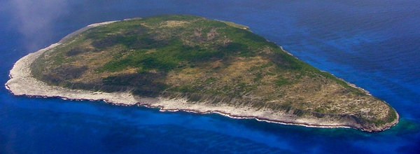 This aerial view of Navassa Island shows its flatness, cliff-lined shore, and scrubby vegetation. Image courtesy of the US Fish and Wildlife Service.