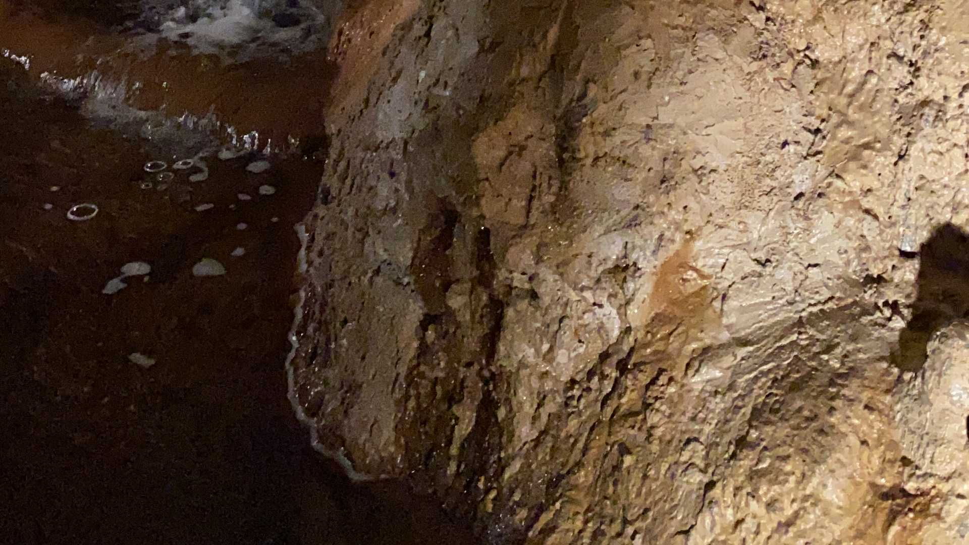 Harrison’s Cave in central Barbados provides tourists with a visual lesson of the purification process for island rainfall. Water seeping through the earthen roof forms an underground stream, which fills aquifers before draining into the ocean.