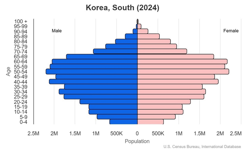 2024 population pyramid