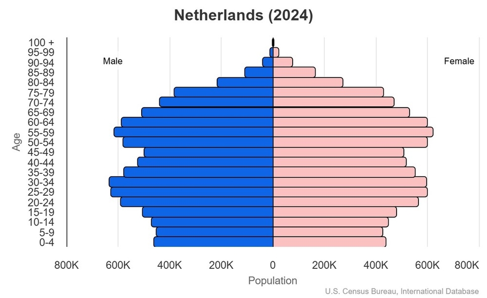 2024 population pyramid